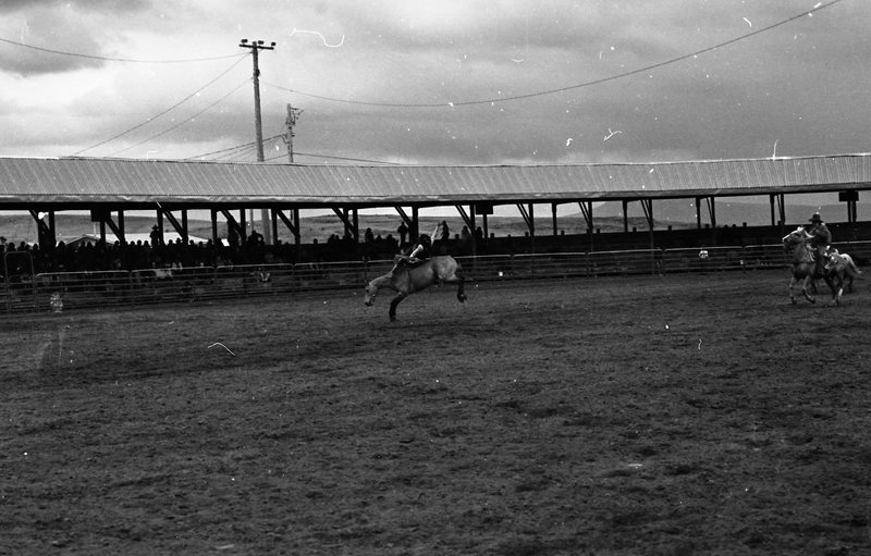 1982 EOSC Rodeo, Bronco Riding 07