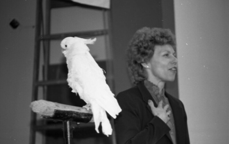 1985 Ackerman Elementary School, Safari 19