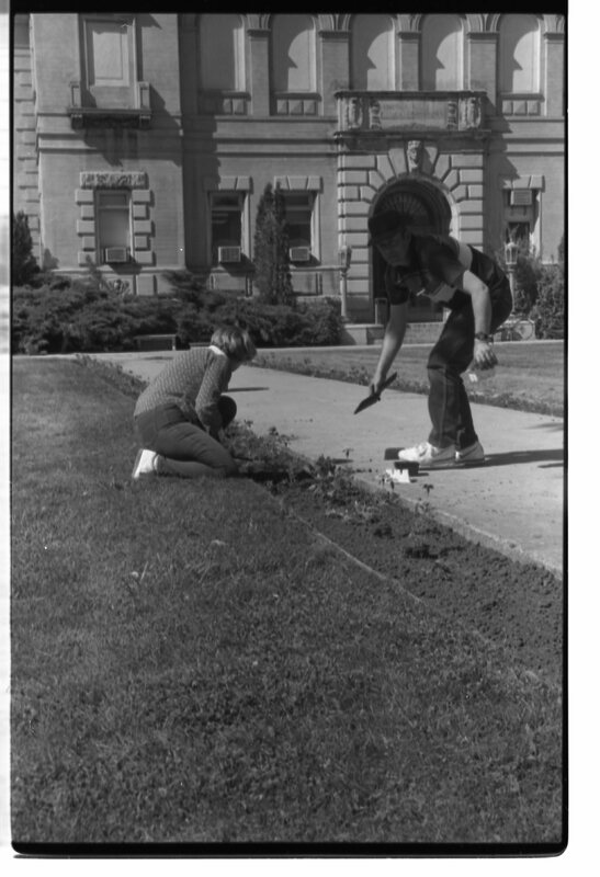 1989 Employees, Planting 25