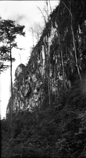 Biak Coral Cliffs 2