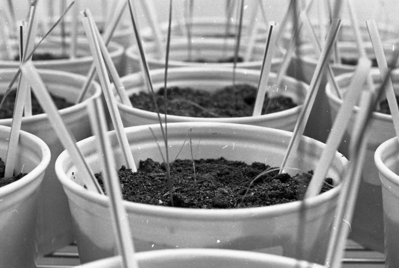 1979 Agriculture, Range Study 01