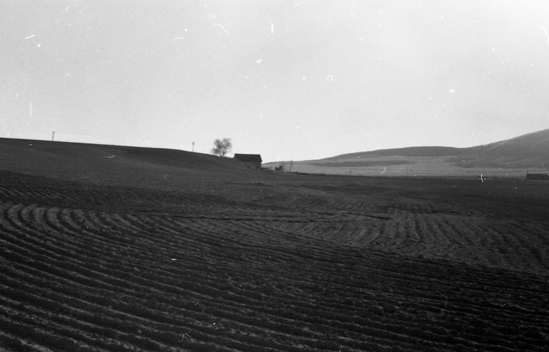 1980 Agriculture, Furrowed Field 02