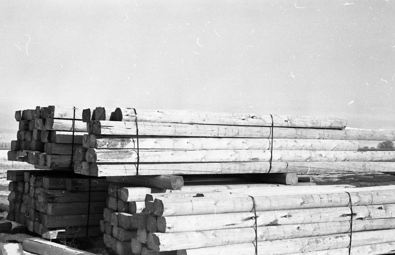 1980 Log Plant 21