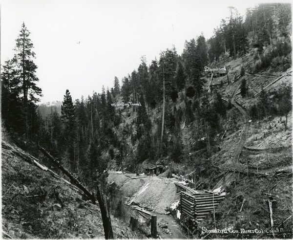 Grant, Standard Mines 1