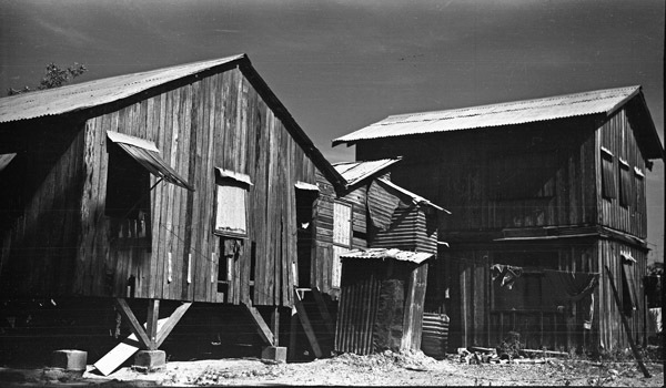 Mindoro, Sugar Plantation 5