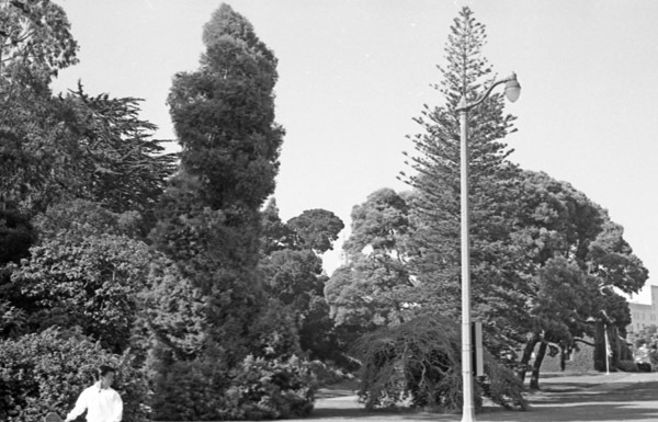 California, Coit Tower Area