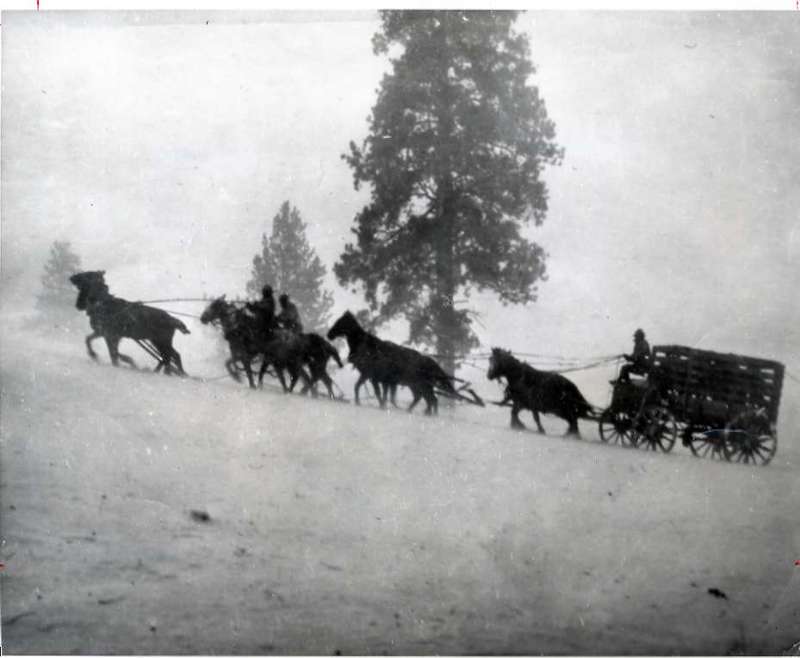 1912 Wyoming, Elk Imports