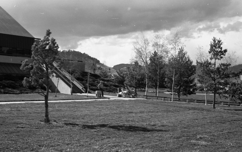 1981 Hoke Hall Stairs 01