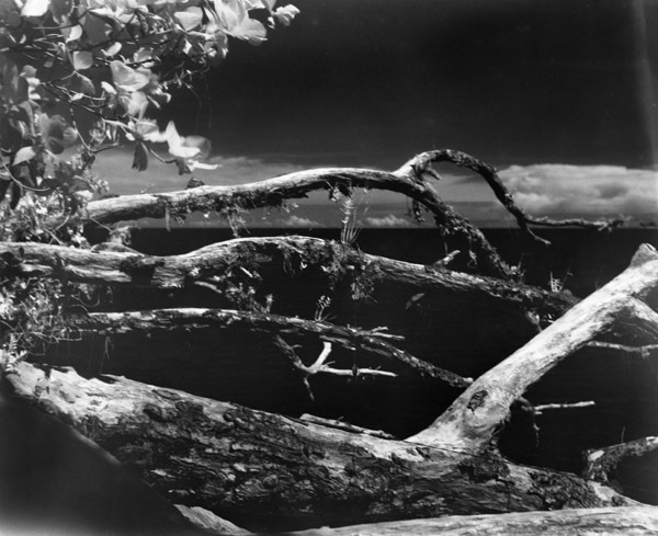 Art, Branches 1