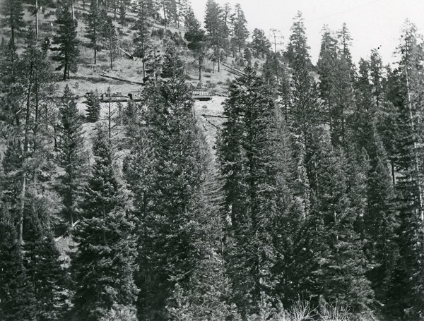 Sumpter, Train