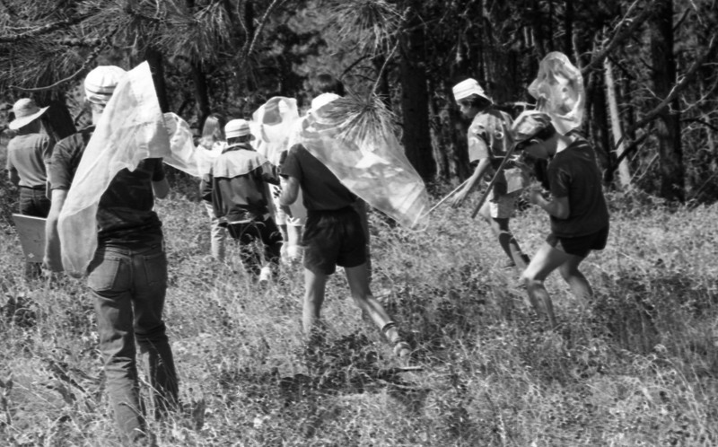 1986 Science Camp, Outdoors 03