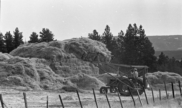 Elgin, Hay Stacking 2