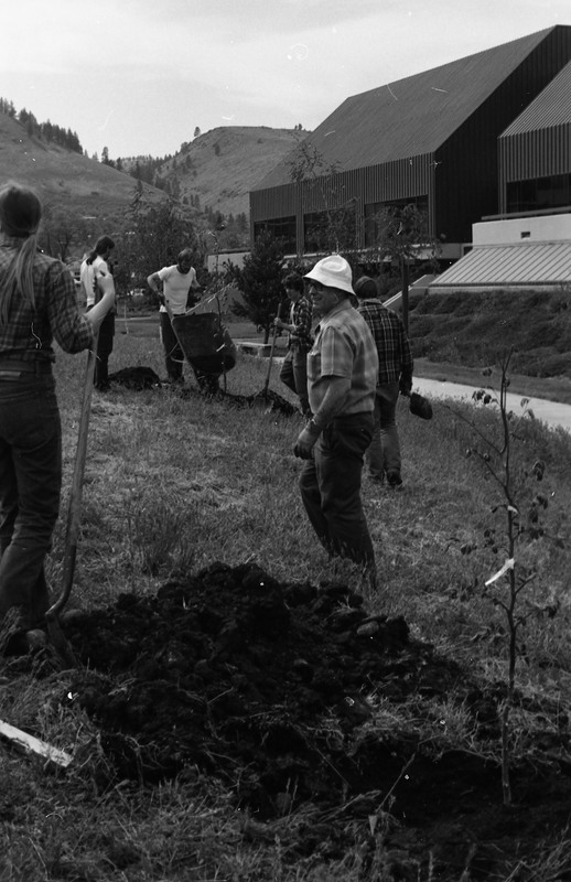 1981 Campus Tree Plantings 10