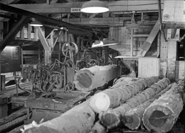 La Grande, Mt. Emily Sawmill 3