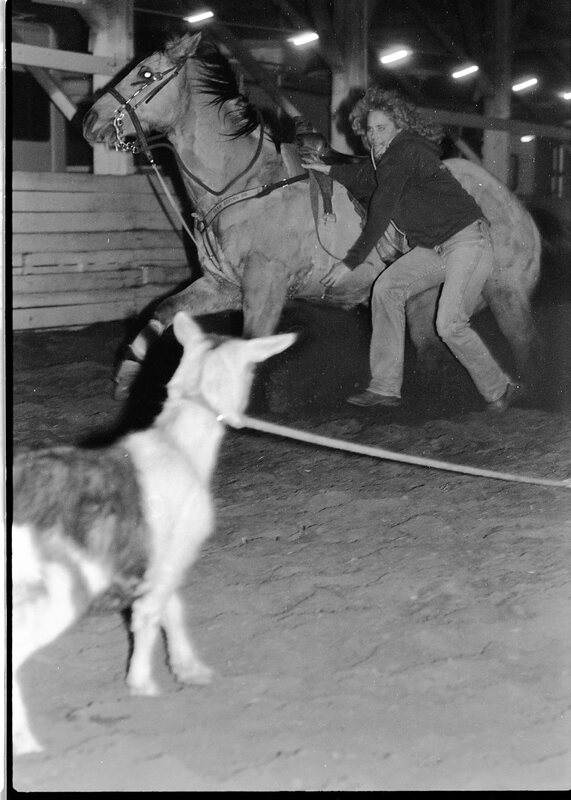 1991 Rodeo, Roping Practice 08