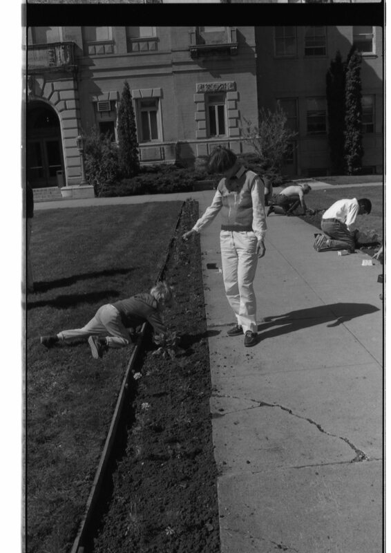 1989 Employees, Planting 17