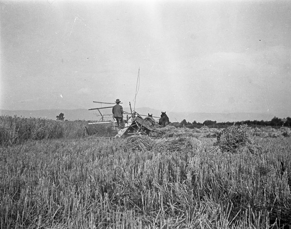 Farm, Binder Operation 1