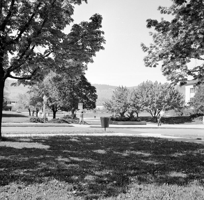 1978 Campus in Spring 06