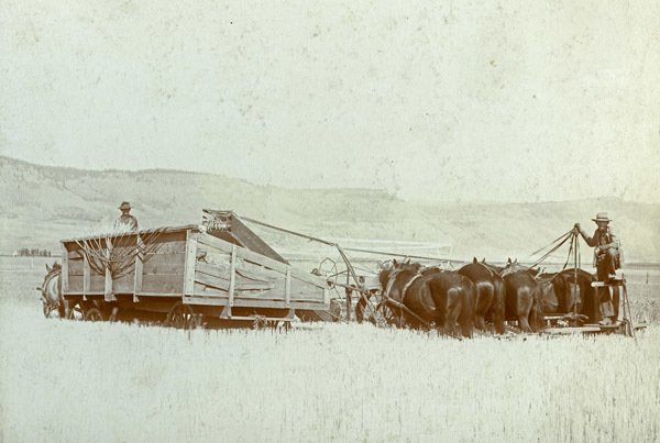 GRV, Harvesting