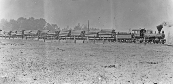 Logging Train 1