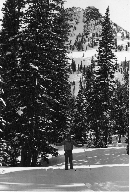 80's Skier, Cross Country