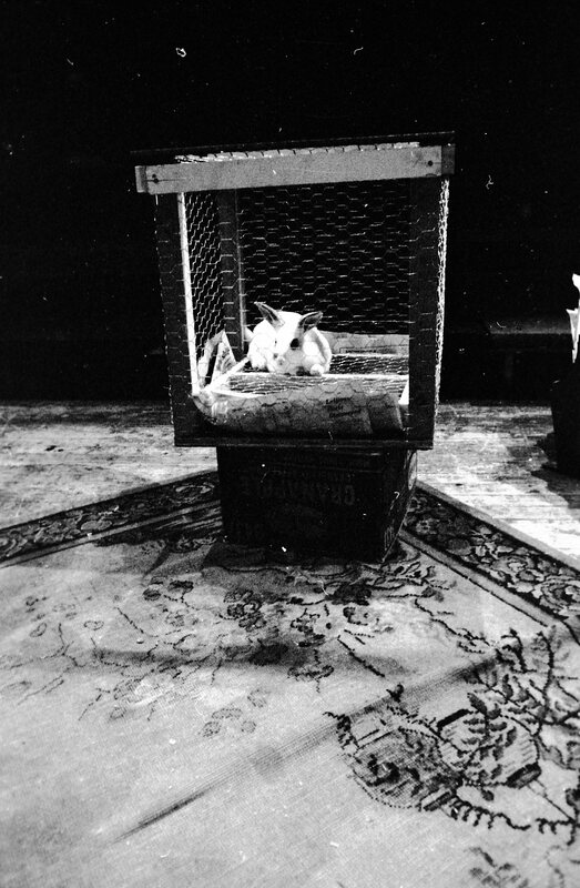 1974 Theatre, Rabbit 08