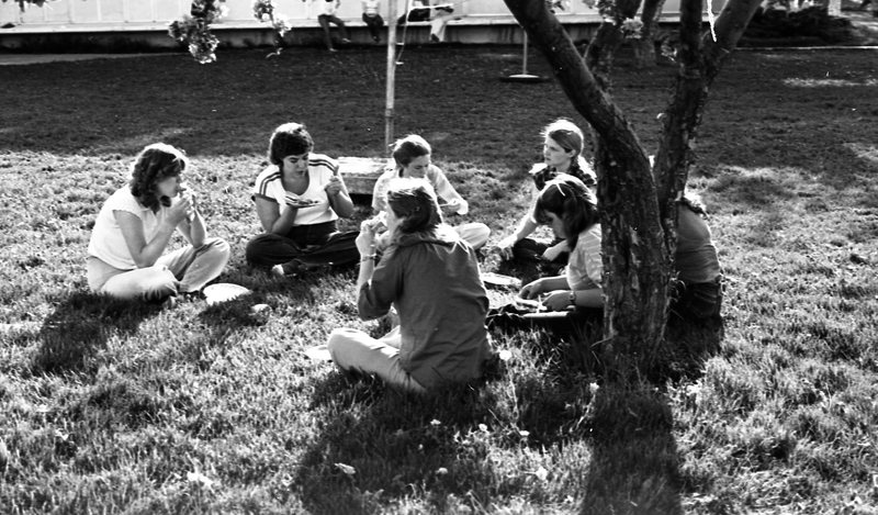 1982 Students, BBQ 02