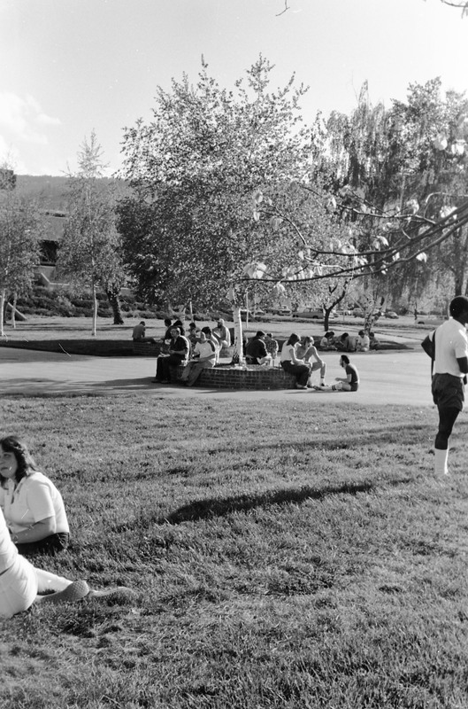 1981 Dorm Play Day &amp; Steak Fry, Barbecue 04