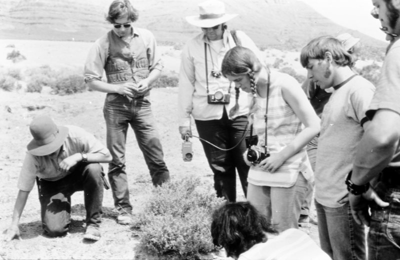 1972 Field Trip, Desert