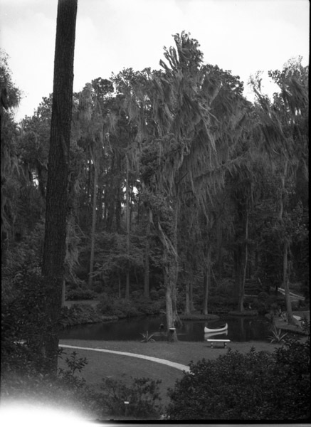 St. Augustine 20