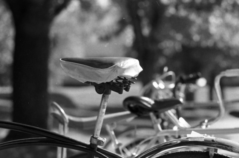 1979 Bicycle Seat