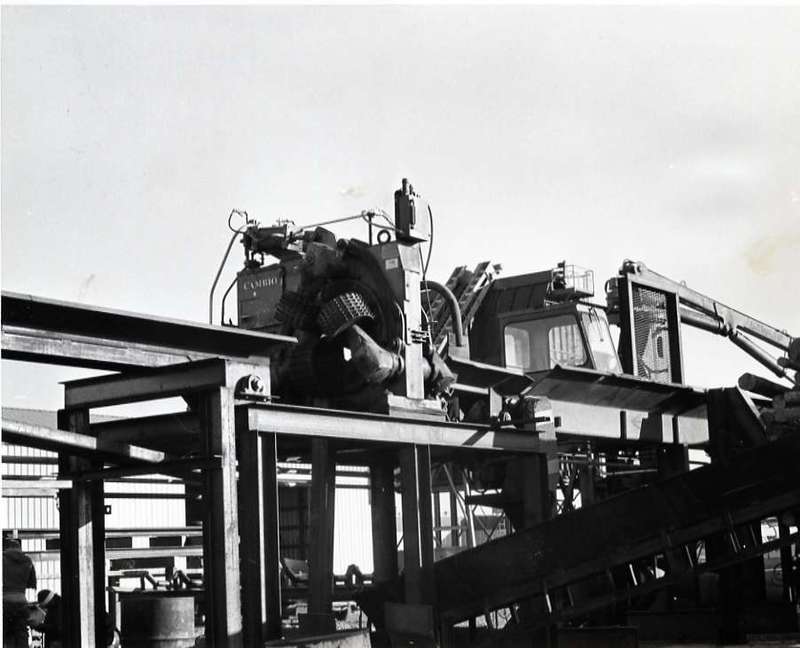 1980 Log Plant 01