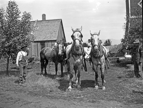 La Grande Farm, Huffman 8