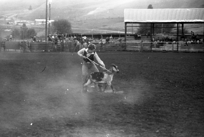 1979 Rodeo, Goat