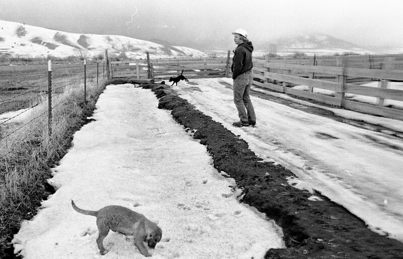 1974 Livestock Ranch 02