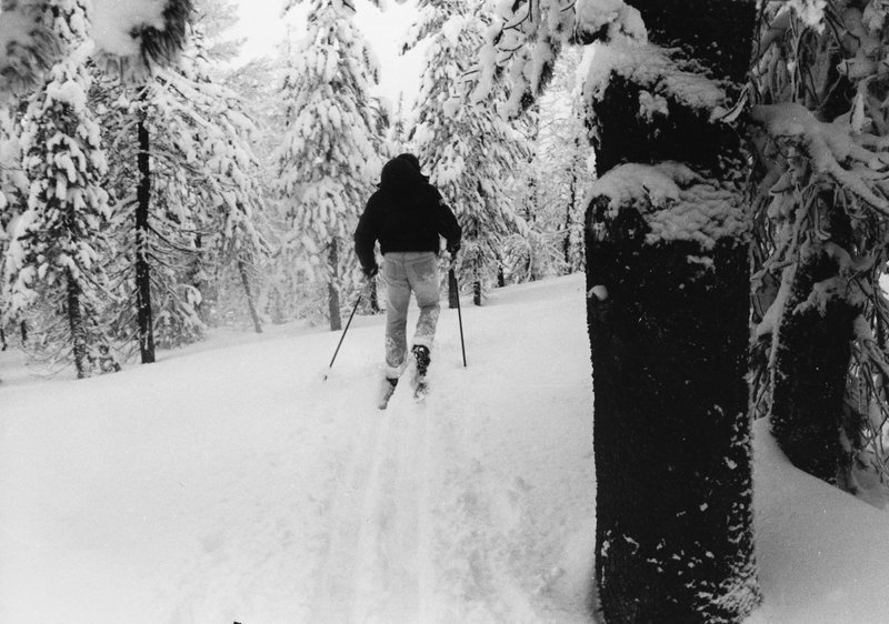 1978 Skiing, Cross Country