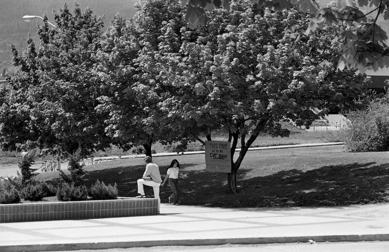 1974 Campus, Save a Tree 06