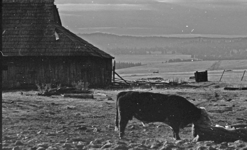 1985 Agriculture, Ranch 09