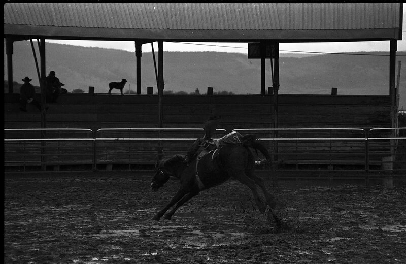 1991 Eastern Rodeo, Bronco Riding 07