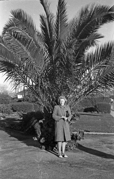 Martha Hill 3