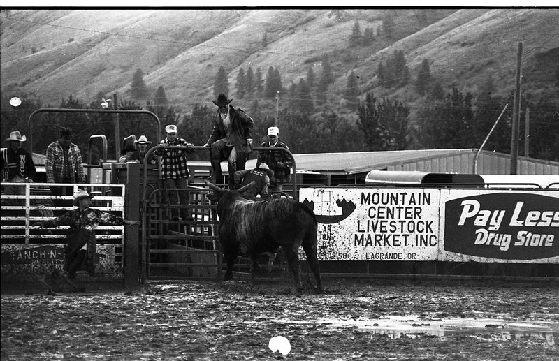 1991 Eastern Rodeo, Bull Riding 01