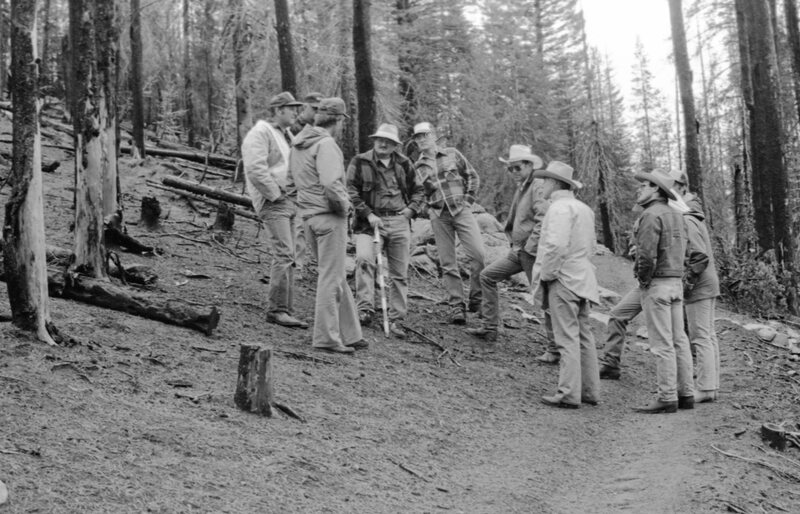 1987 Field Trip, Forest 08