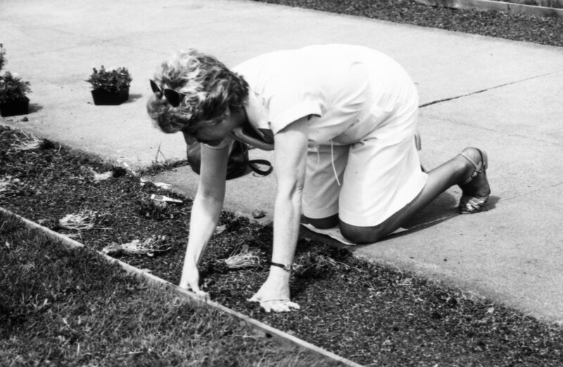 1988 Employees, Planting 06