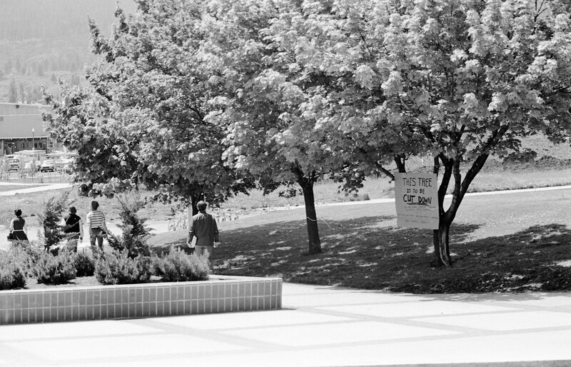 1974 Campus, Save a Tree 07