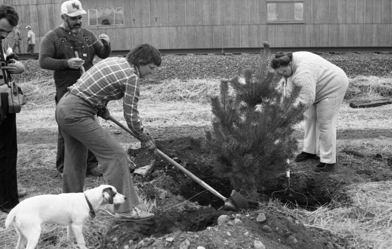 1985 Soroptimist Tree Plantings 09
