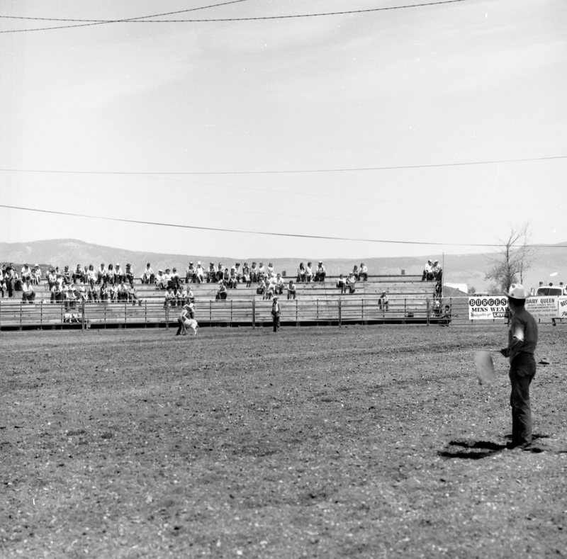 1970 Rodeo, Calf Roping 03