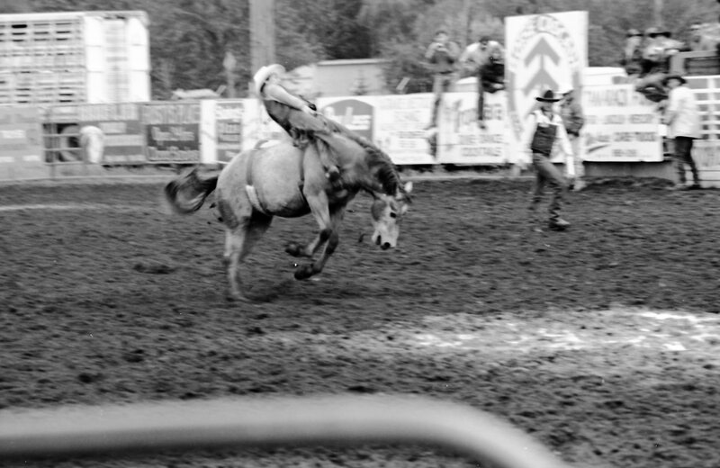 1987 Rodeo, Bronco Riding 11