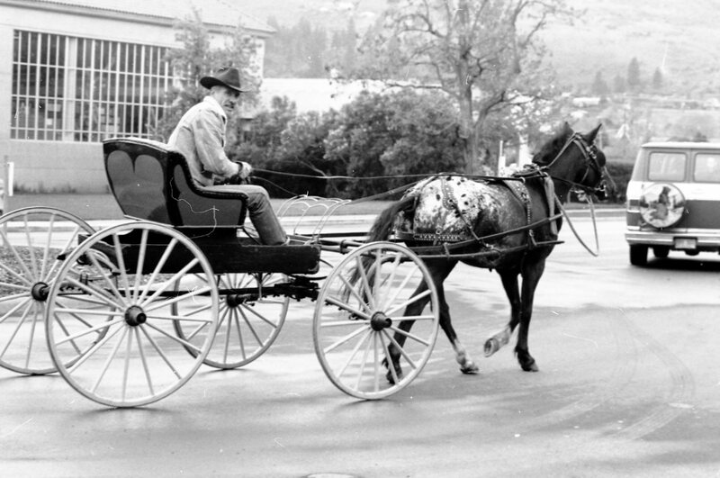 1988 Employee, Jack Johnson Carriage Ride 15