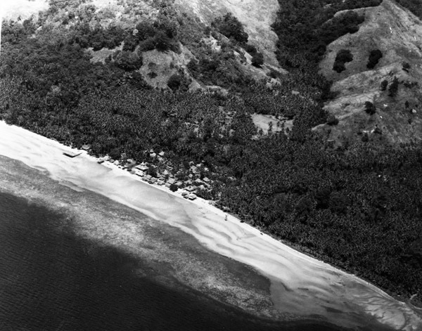 Aerial, Village Near Beach
