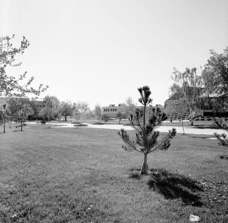 1978 Campus in Spring 03